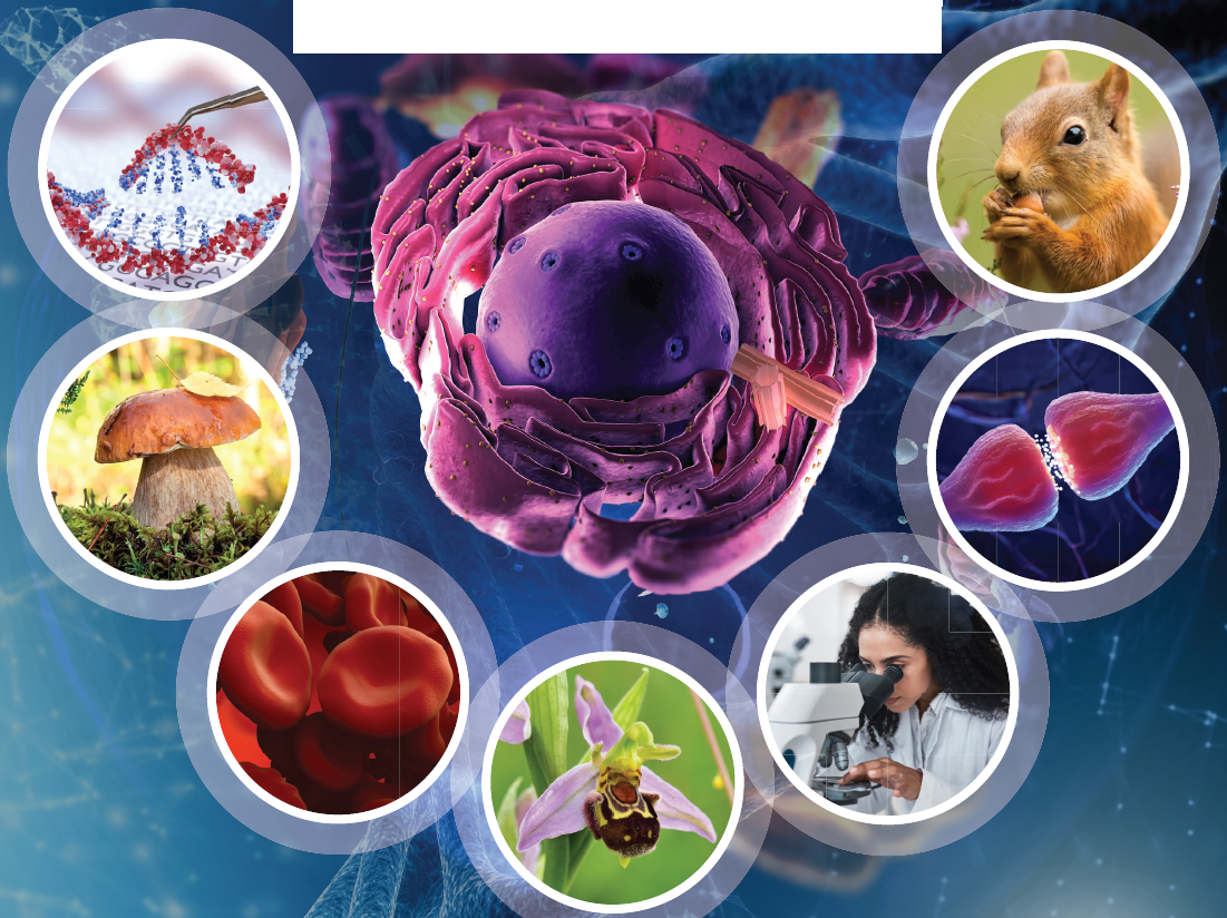 A cell, DNA, organisms, red blood cells and a student using a microscope